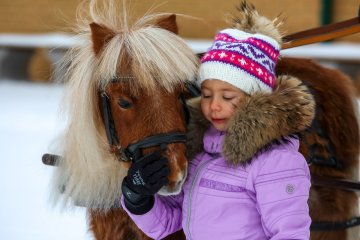 ШКОЛА РАННЕГО РАЗВИТИЯ ВСАДНИКА ДЛЯ МАЛЫШЕЙ